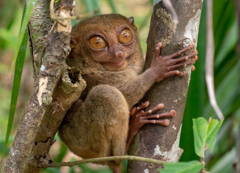 Photograph by Сергей Сыресин