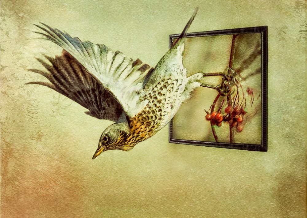 Photograph by Татьяна Москальчук