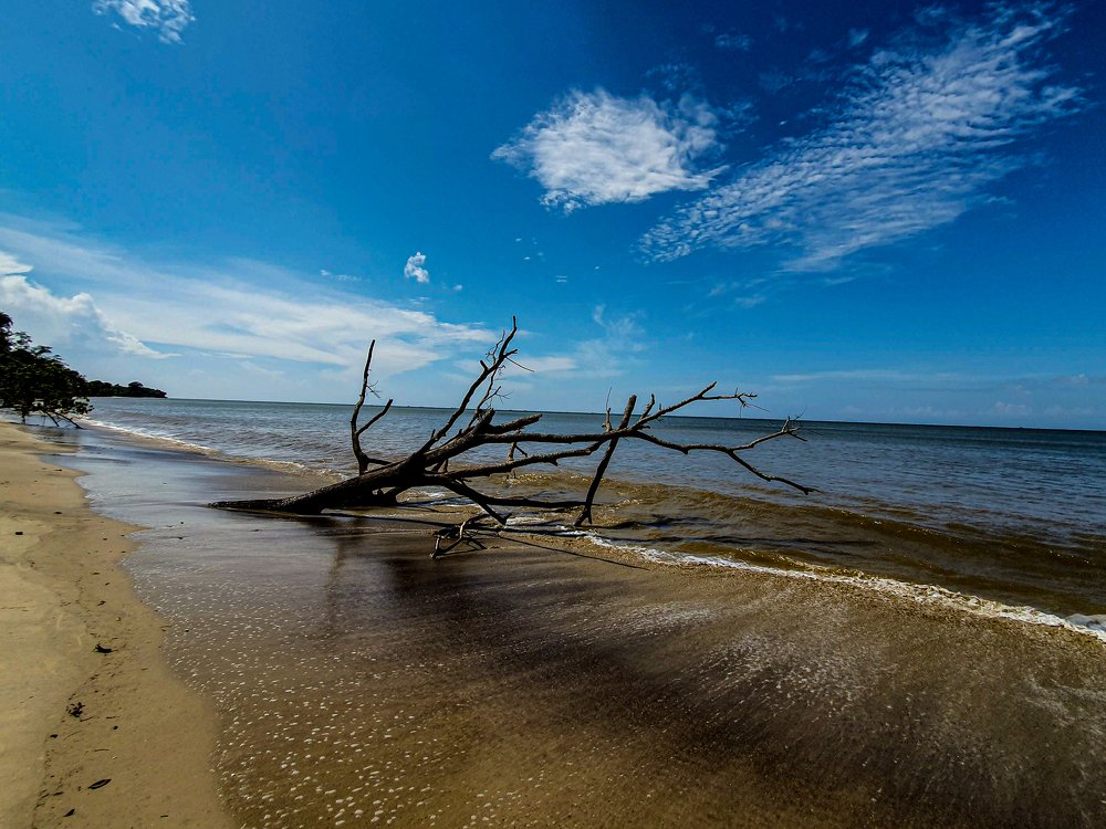 Wide Angle Beach Perspective