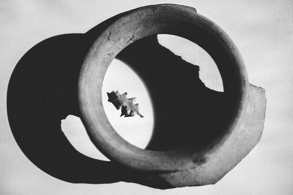 Photograph by Ольга Халабузарь