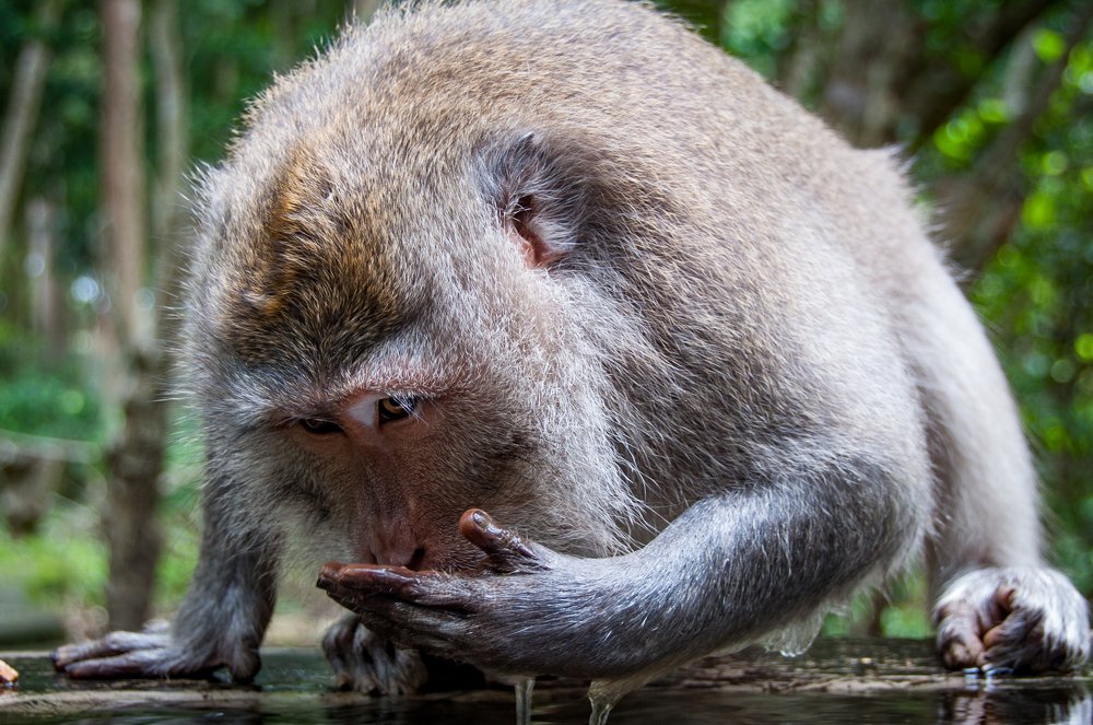 Photograph by Patrycja Sorensen