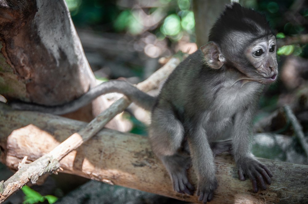 Photograph by Patrycja Sorensen