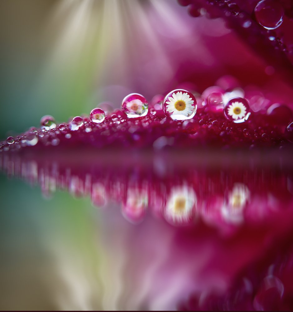 Фотография автора Thien Vu Vu