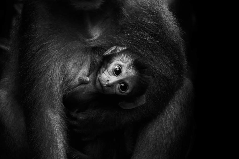 Photograph by Touhid Parvez