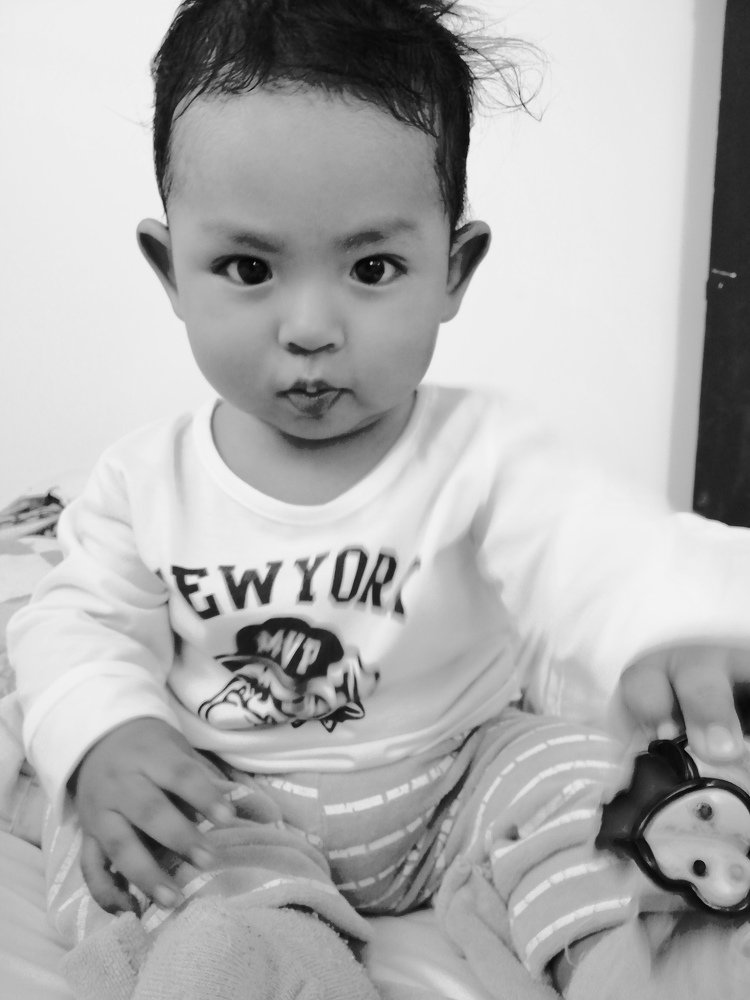 Photo #4258866