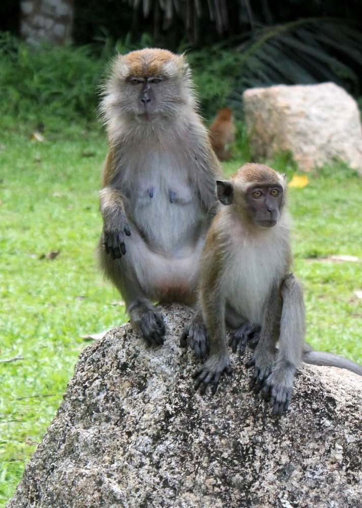 Photograph by Kim Lai Yeap