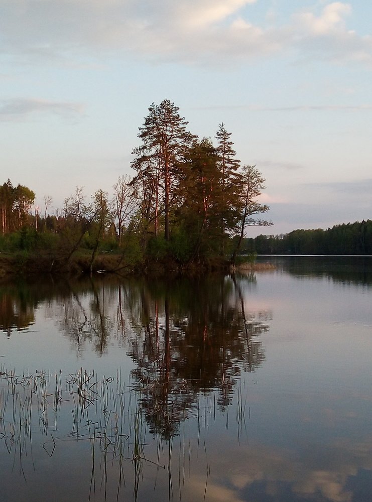 Photo #4258931