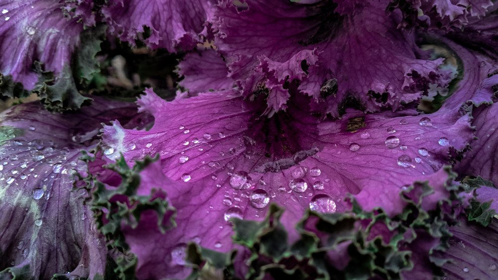 Photograph by Бахов Сергей