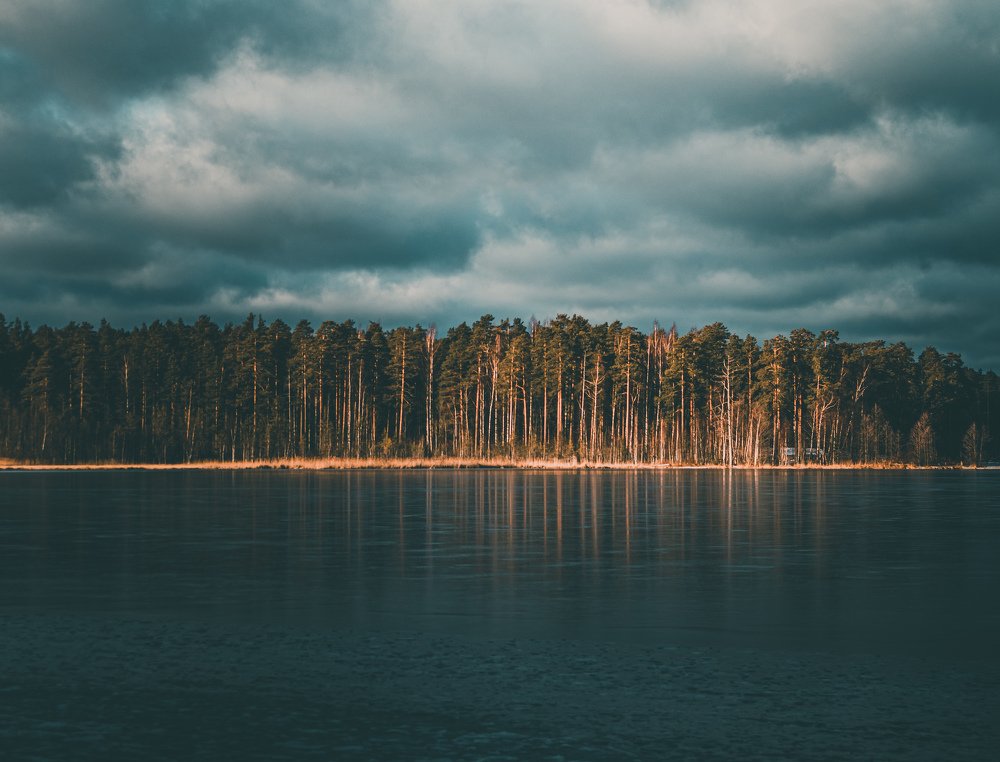 Заказник Щучье озеро