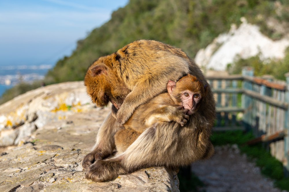 Photograph by Sergey