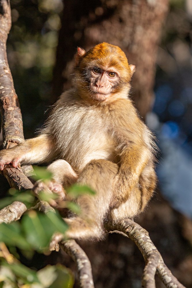 Photograph by Sergey