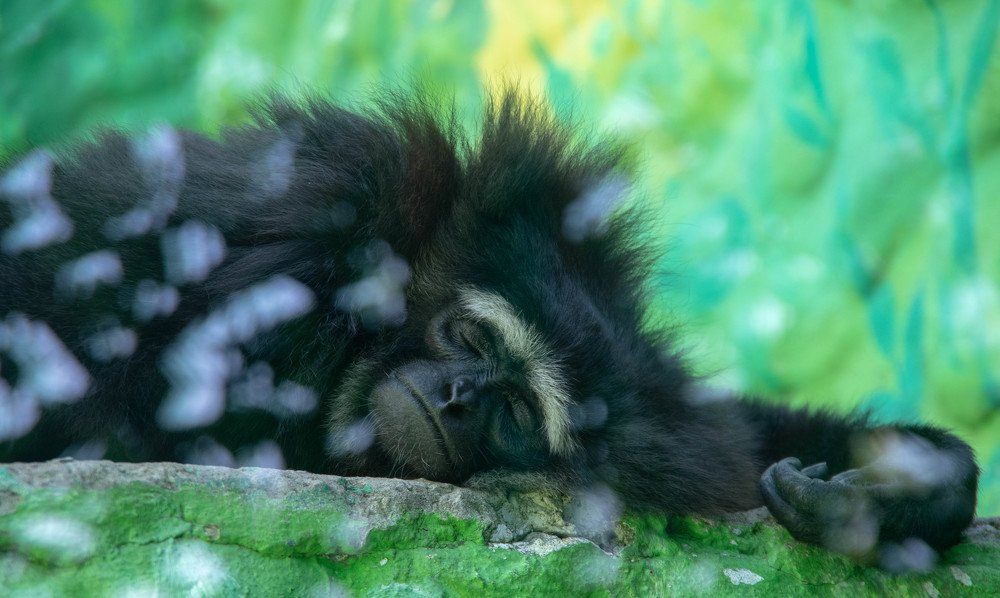 Photograph by Aleksandr Demidovsky