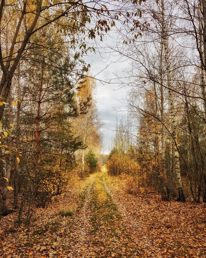 Photograph by Andreas Koff