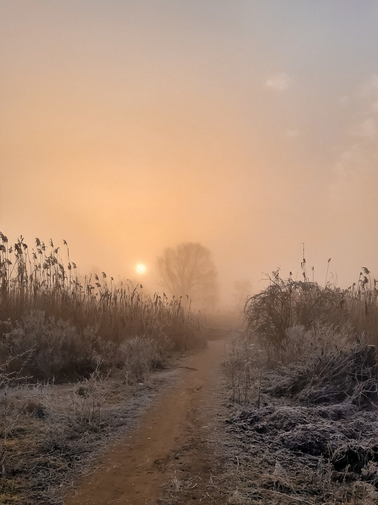 Туманный рассвет