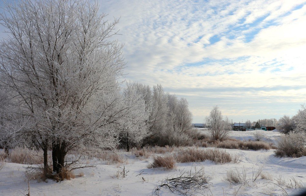 Серебром играет зимний день ...