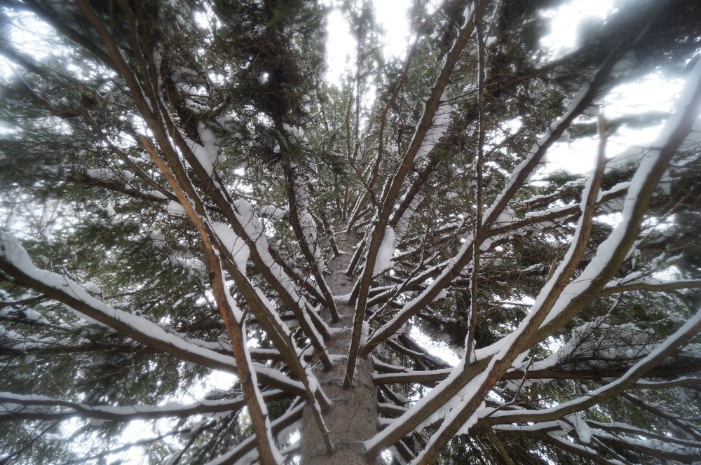 Размышления.