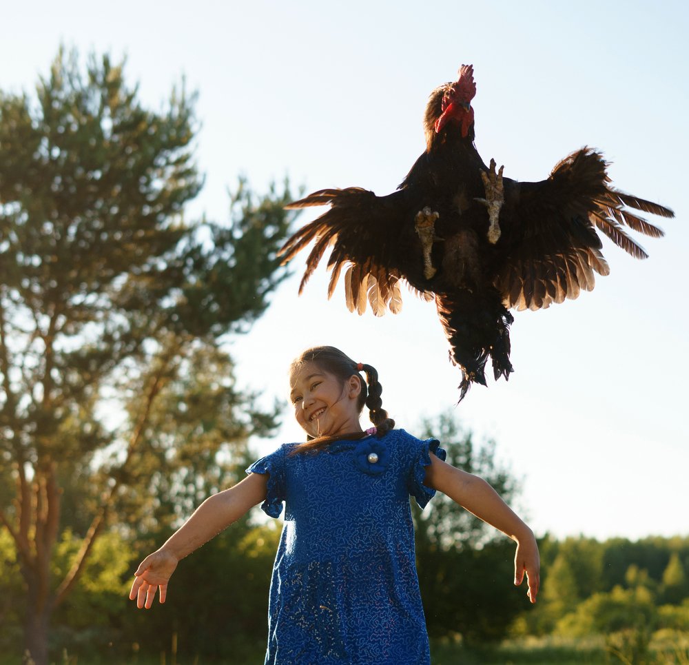 Photograph by Сапожникова Виктория