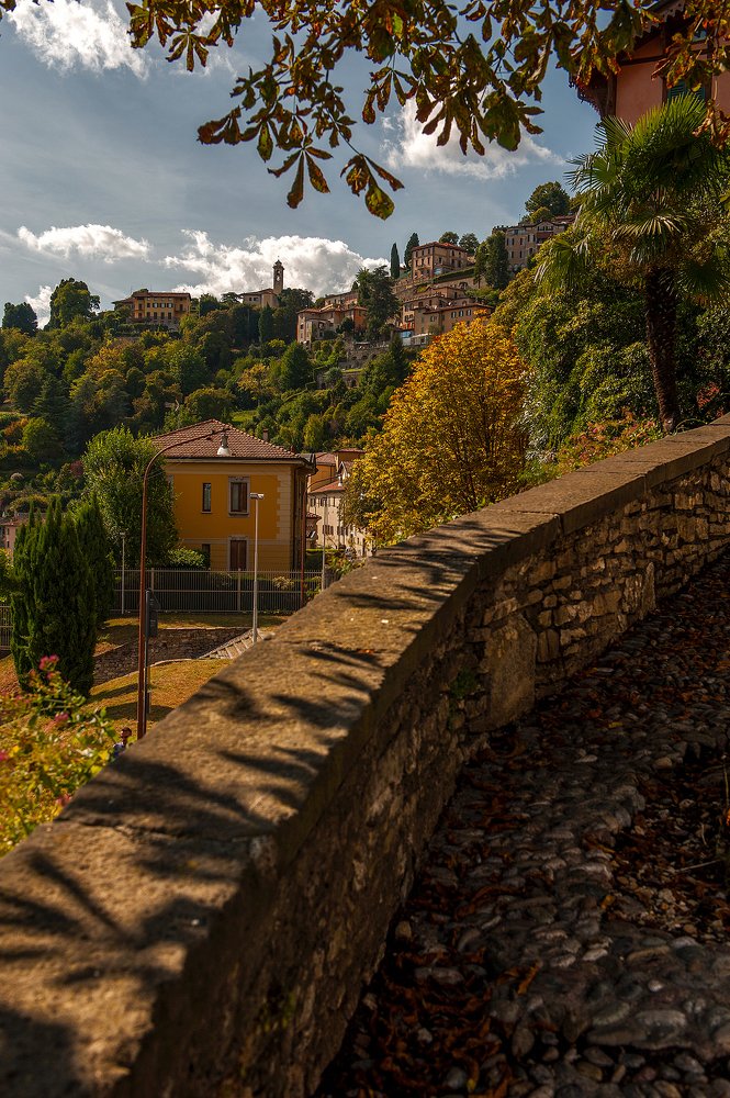 Photograph by Сергей Алексеев