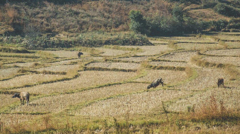 Photograph by Paing Xis