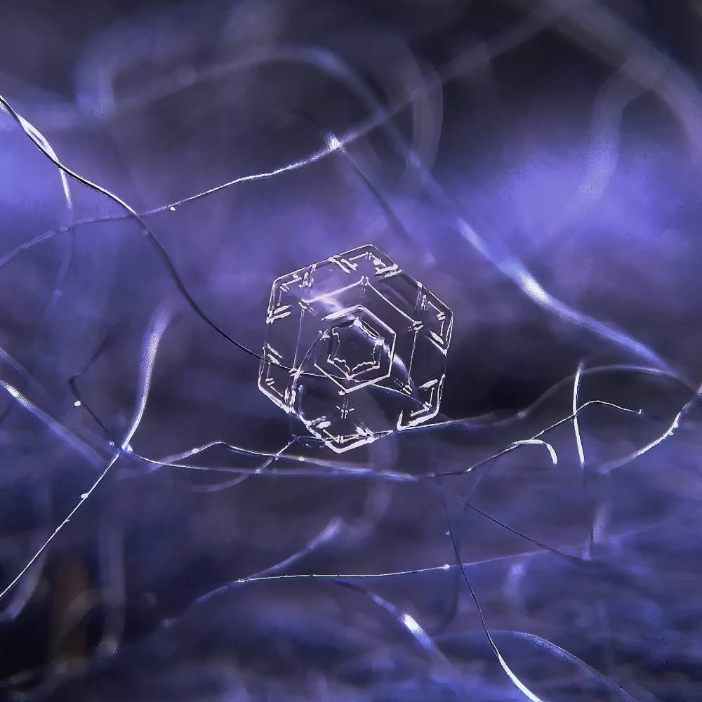 Фотография автора Наталья