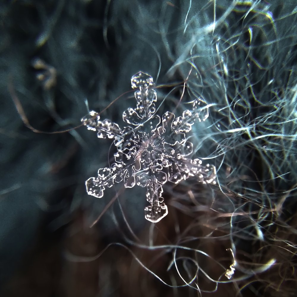 Фотография автора Наталья