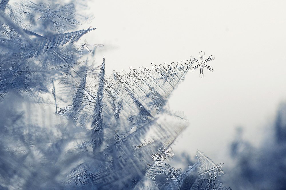 Photograph by Ромил Федоров