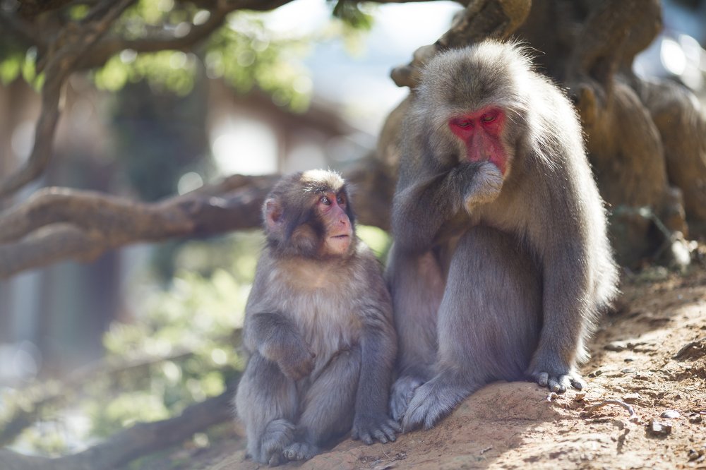 Photograph by Dmitry Morgan