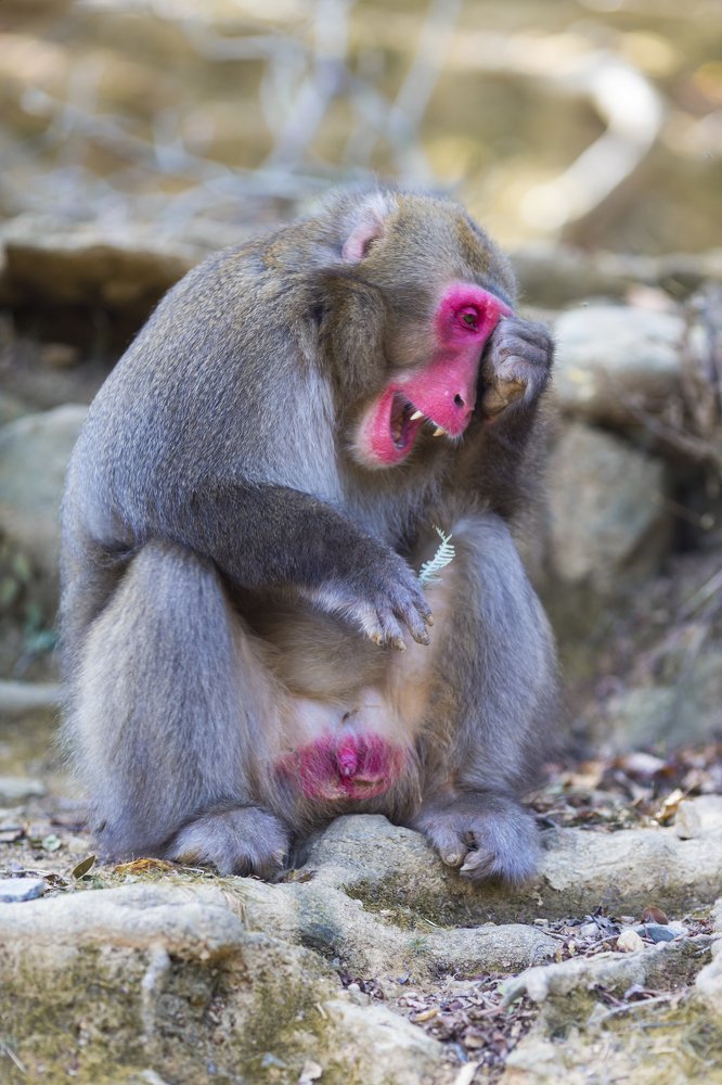 Photograph by Dmitry Morgan