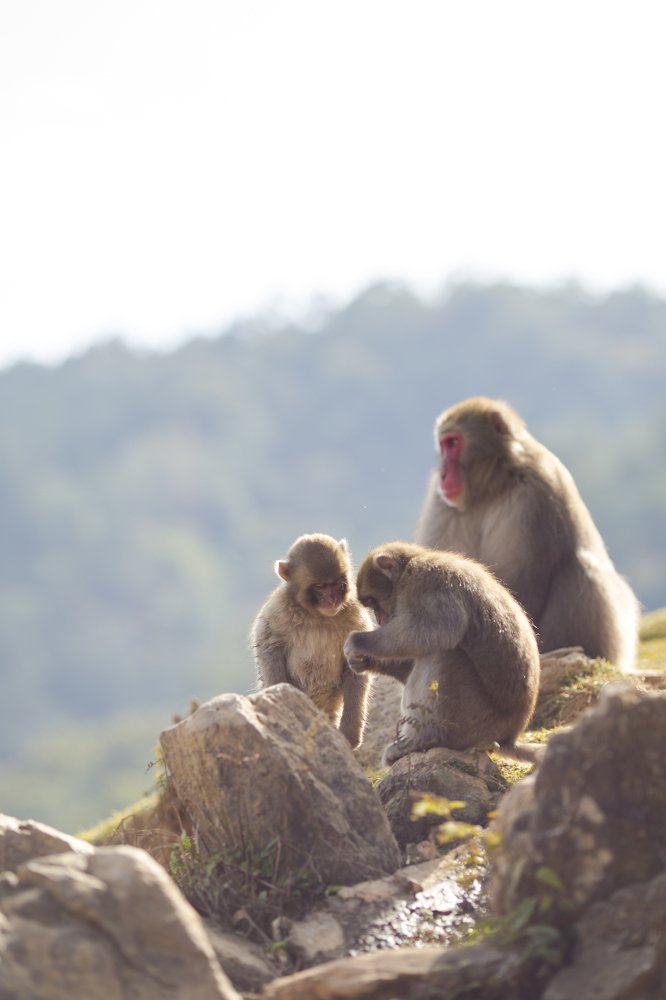 Photograph by Dmitry Morgan