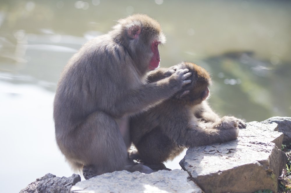 Photograph by Dmitry Morgan