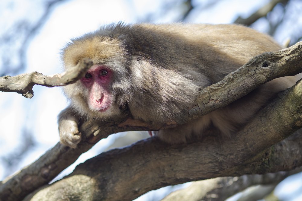 Photograph by Dmitry Morgan