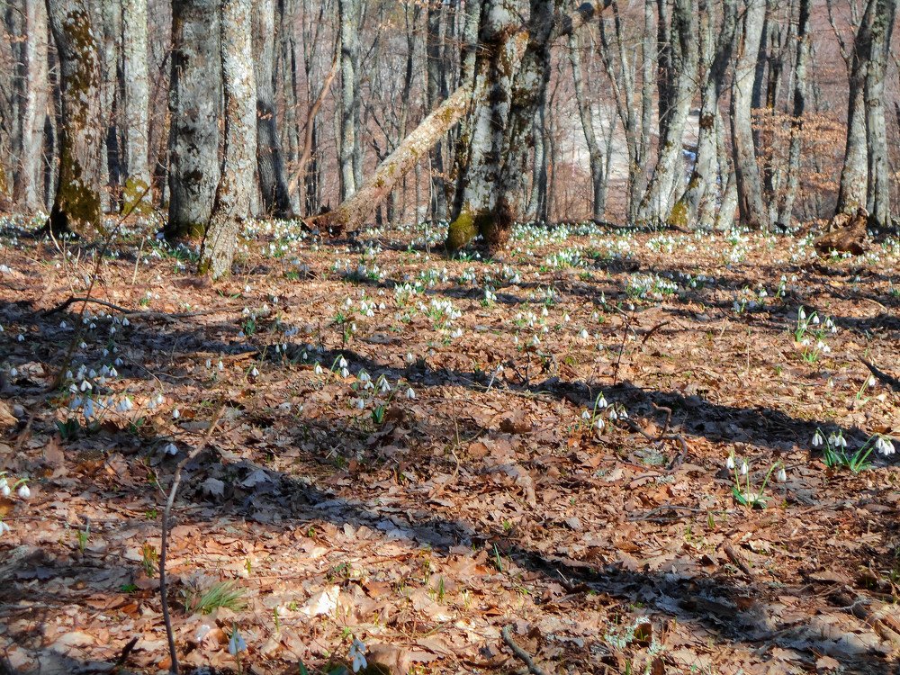 Photograph by Денис Чернявский