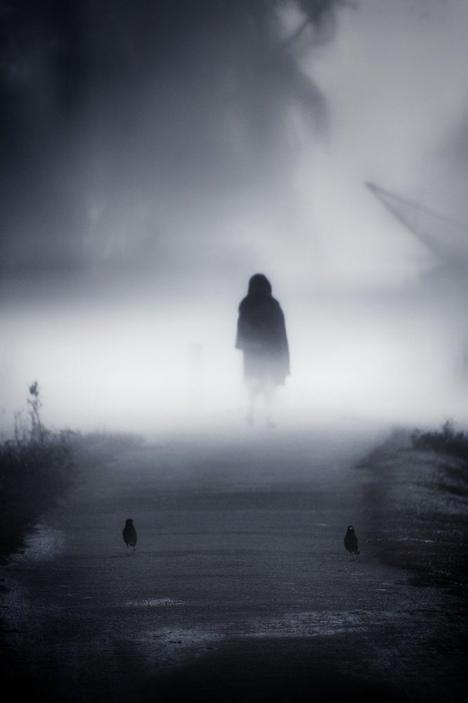 Photograph by Ridoy saha