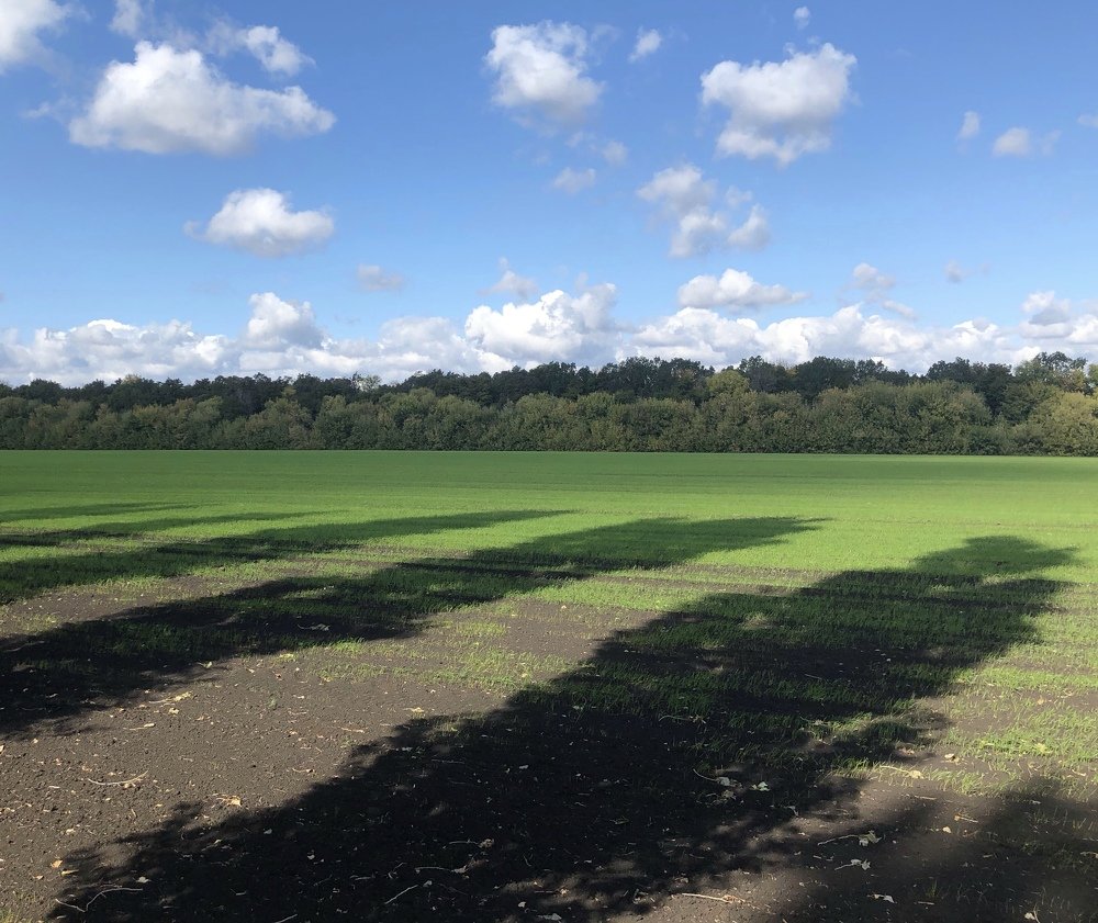 Photograph by Татьяна Пономарева