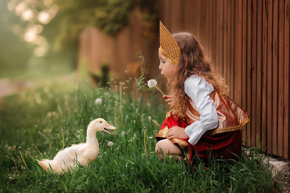 Фотография автора Евгения Грин