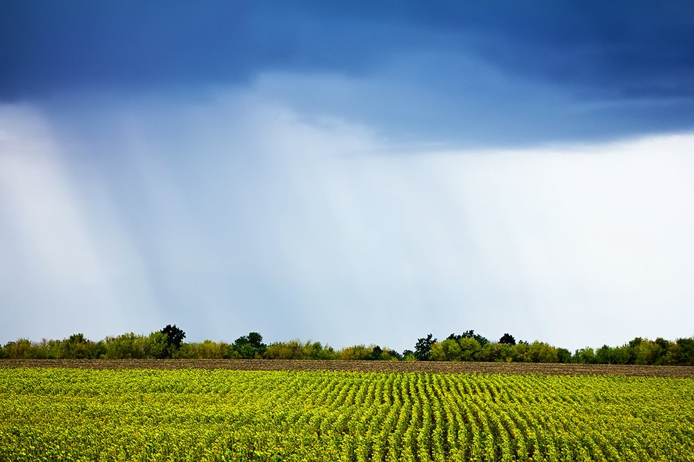 Photograph by Анна Петренко-Лопатина