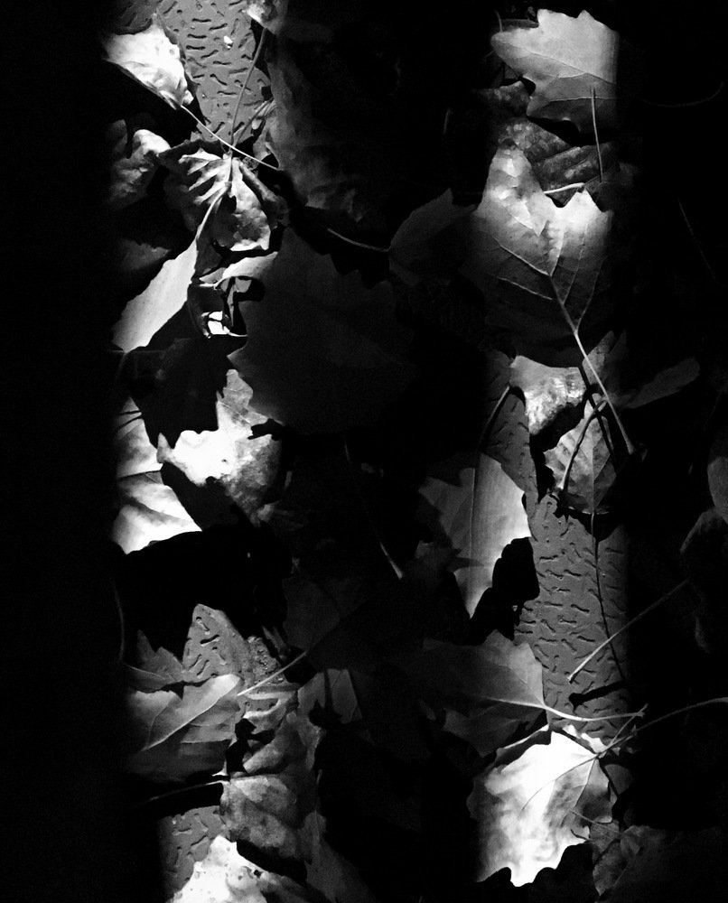 Photograph by Елена Ким