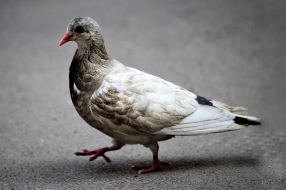 Photograph by Карина