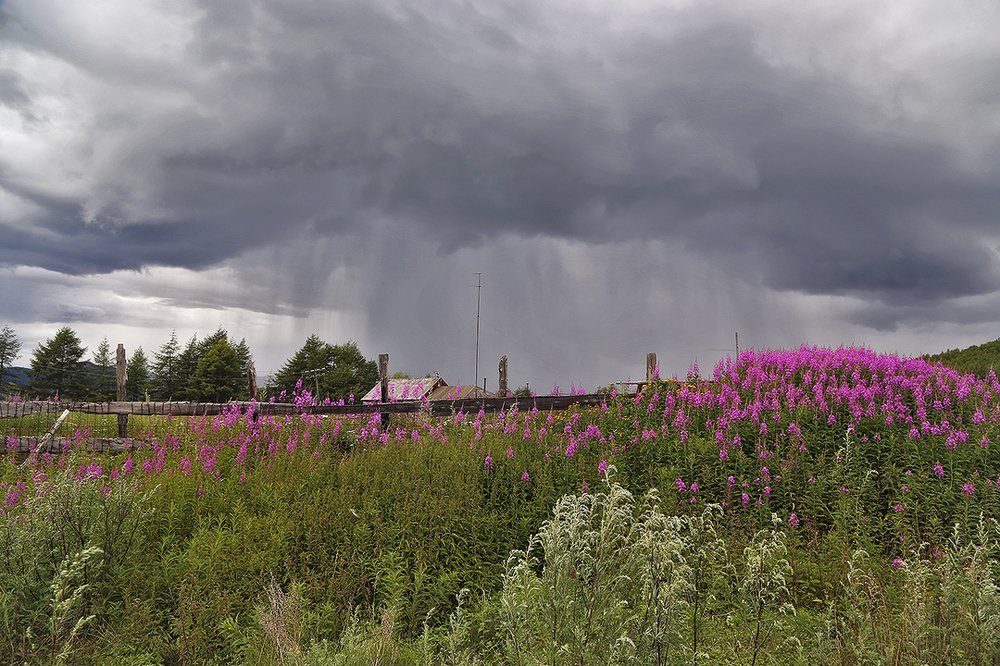 Photograph by Сергей Балабан