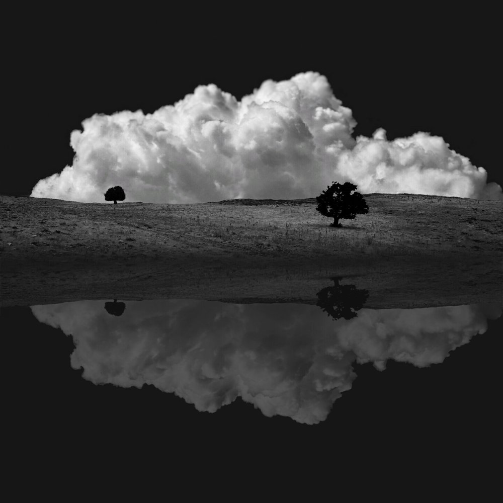 My dreams in the water