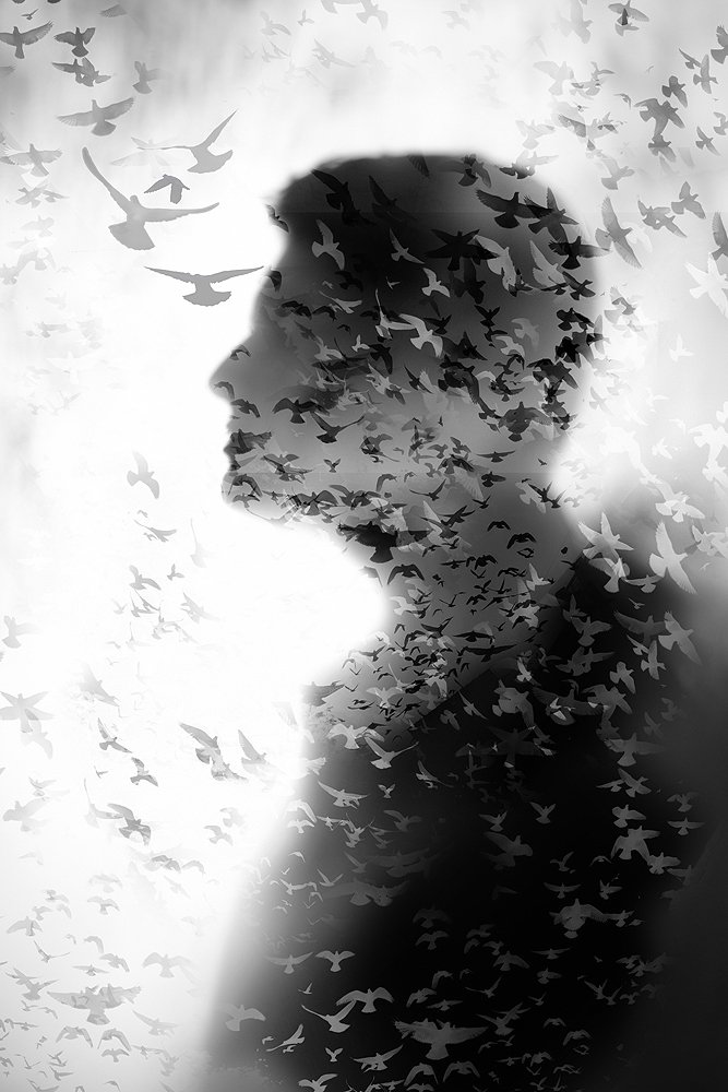 Let my thoughts fly..