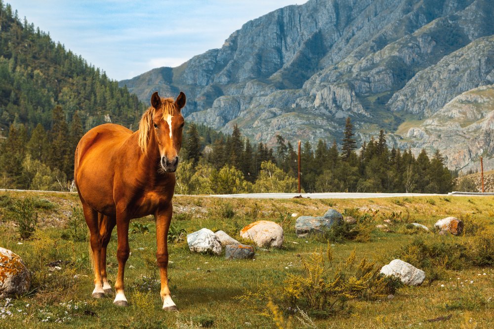 Photograph by Александр Будов