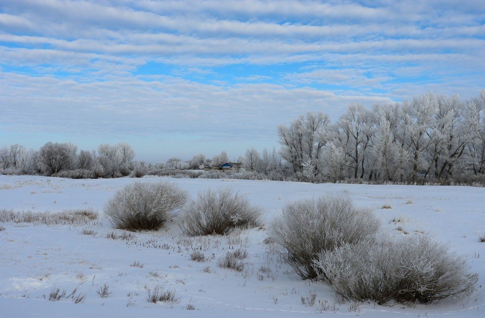 Серебром играет зимний день