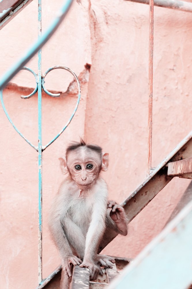 Photograph by Василь Камалов