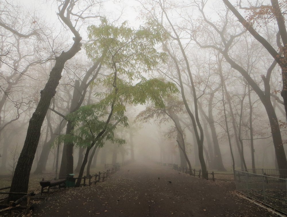 Photograph by Екатерина Салий