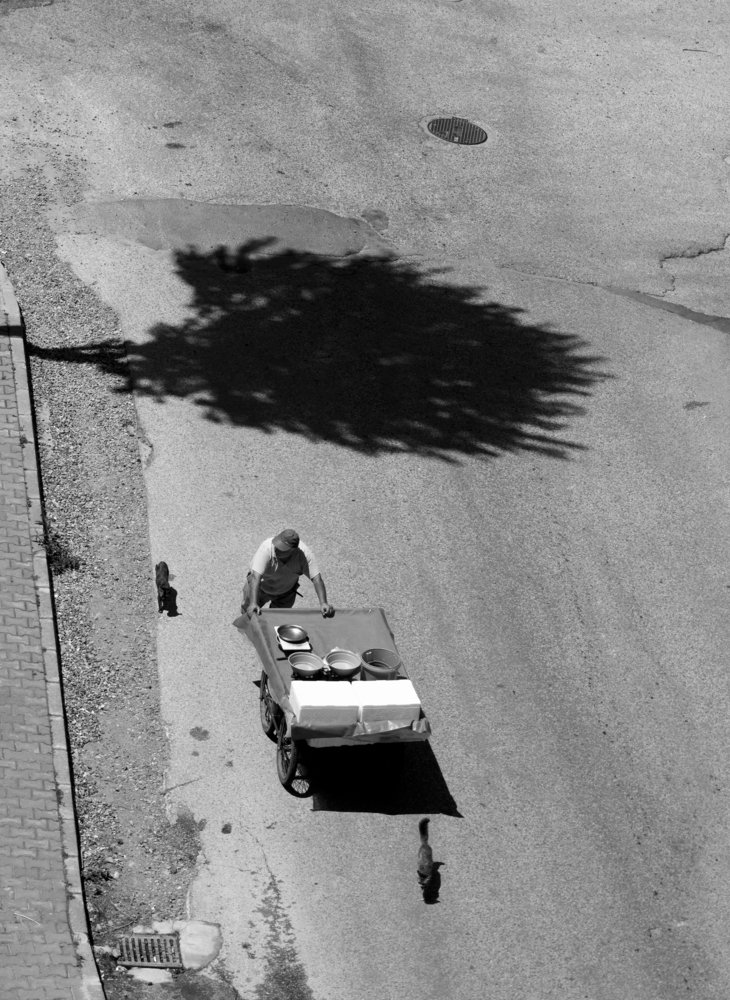 Follow the Fisherman