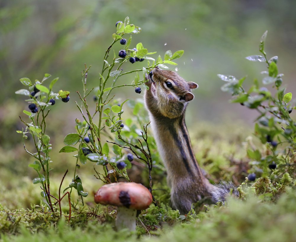 Photograph by Евгения Левина