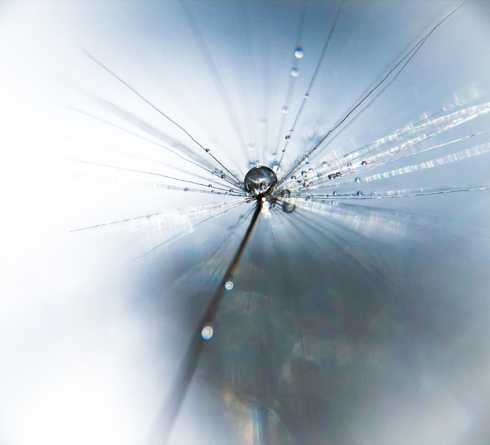 Photograph by Вероника Денисова