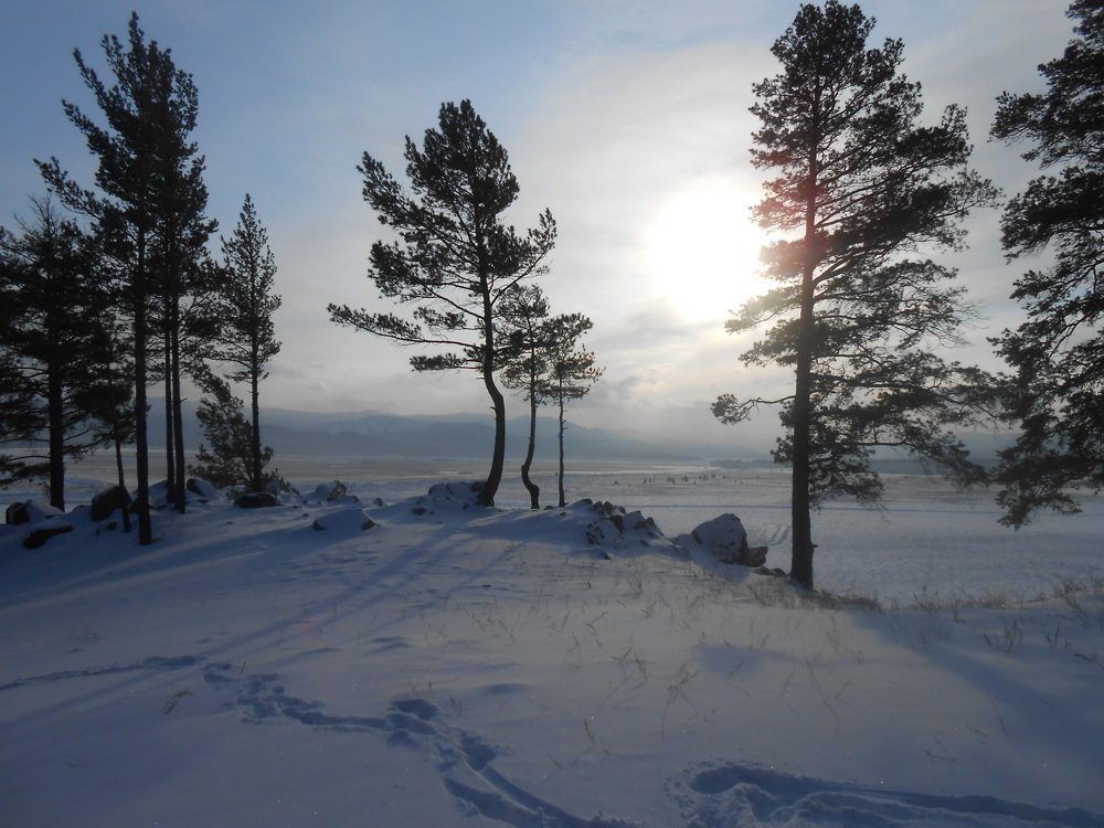 Photograph by Алёна Пестерева