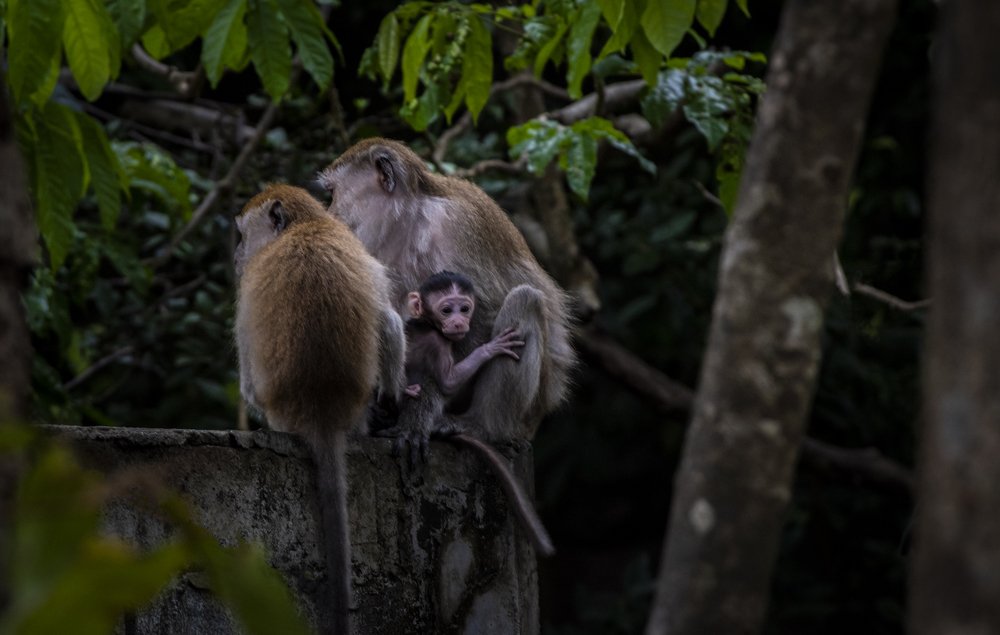 Фотография автора Cristian Dunivicher